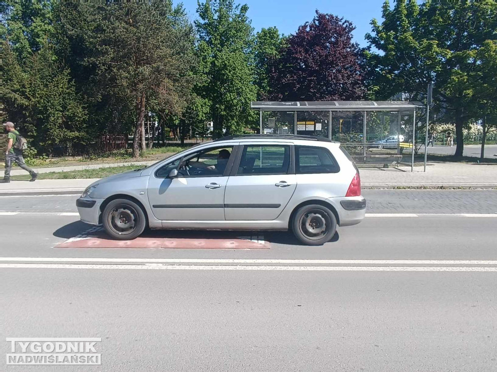 Progi zwalniające przy SP 10 w Tarnobrzegu