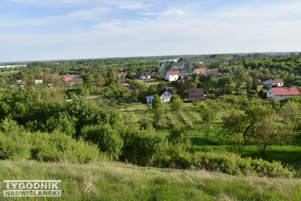 Porządkowanie wzgórza Salve Regina w Sandomierzu