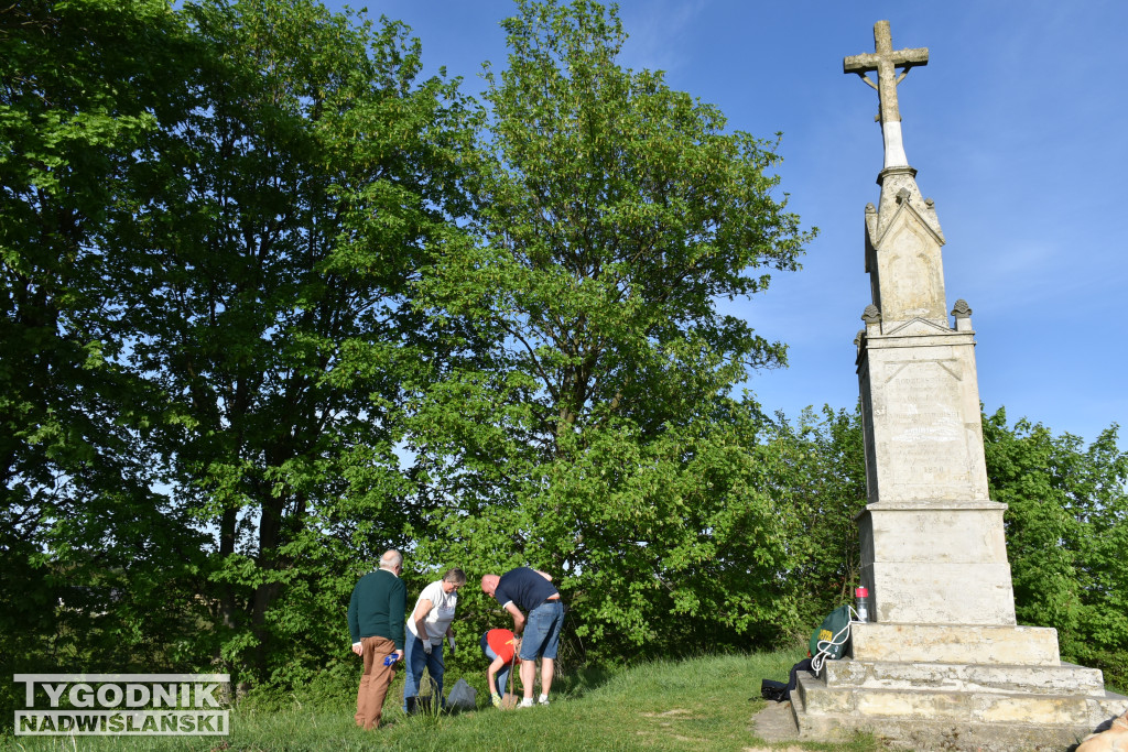 Porządkowanie wzgórza Salve Regina w Sandomierzu