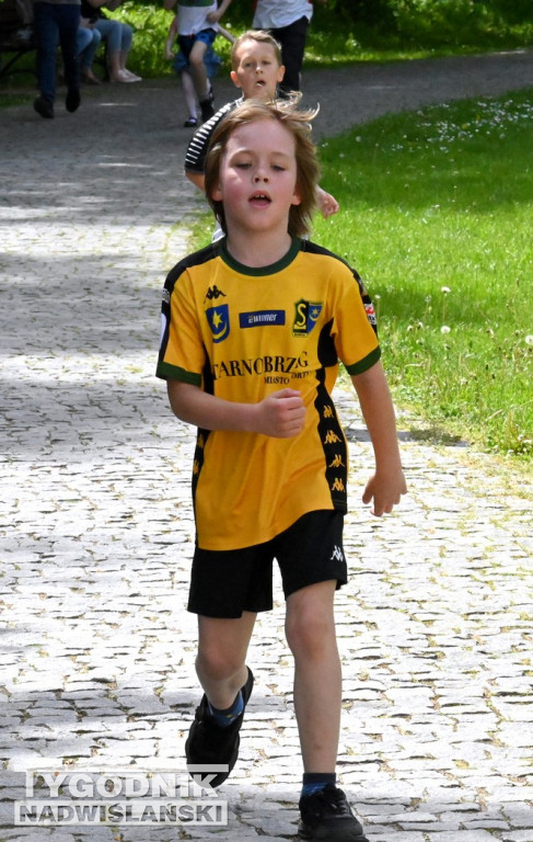 Patriotyczne bieganie w Tarnobrzegu, 3 maja 2024