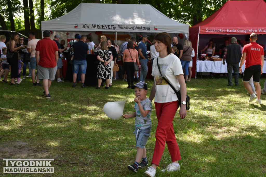 VI Bieg do Serca Kołłątaja