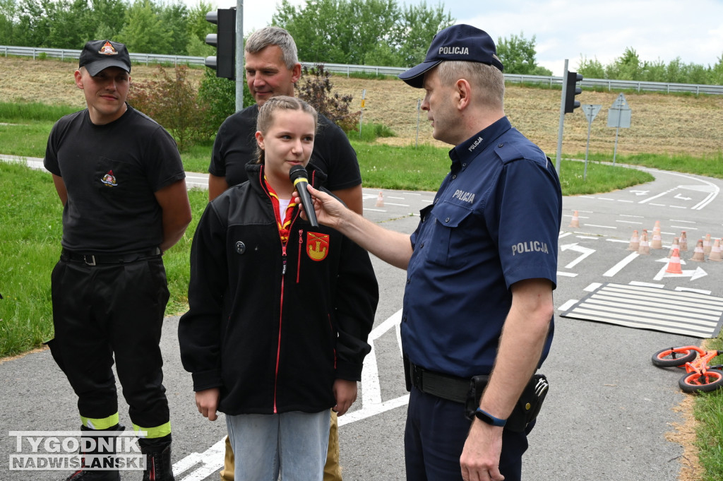 Piknik na terenach nadwiślańskich. 20 lat w UE