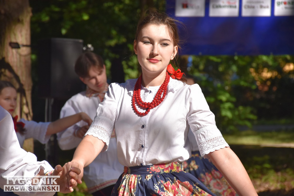 Senioriada 2024 w Nowej Dębie
