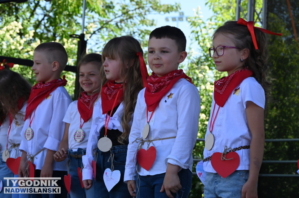 Piknik rodzinny przy Szkole Podstawowej nr 10