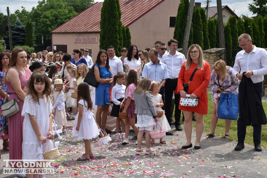 Procesja Bożego Ciała w Goźlicach w gm. Klimontów