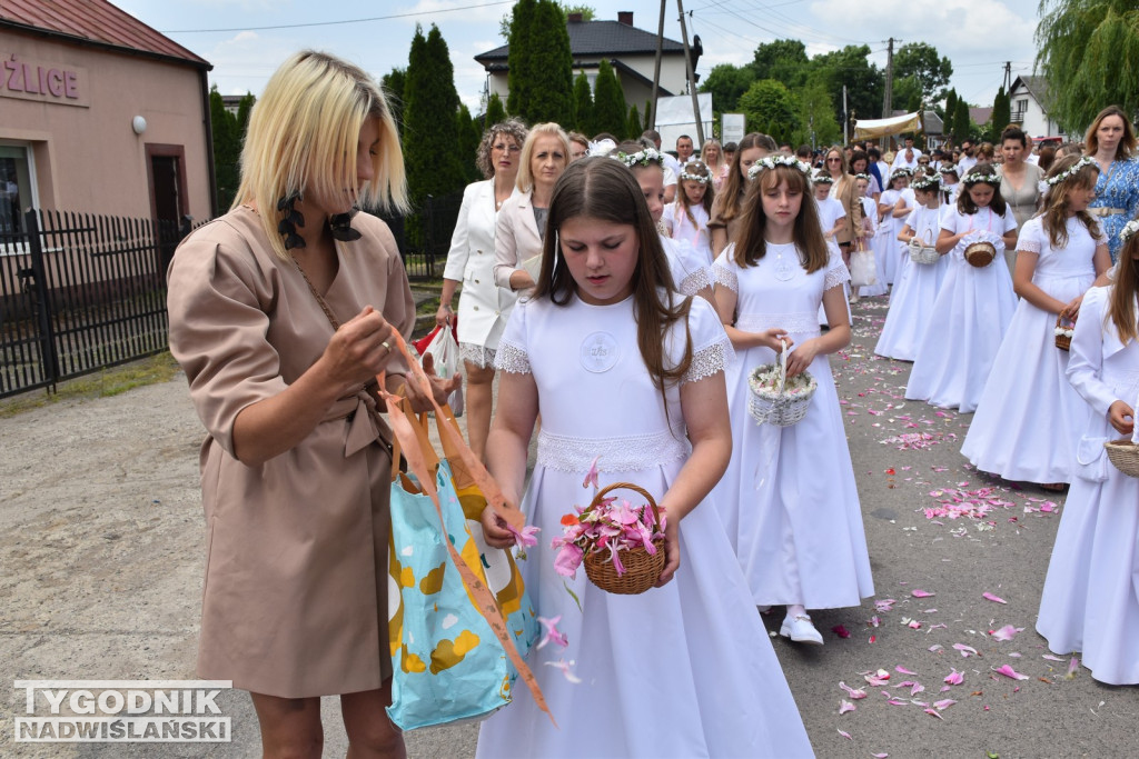 Procesja Bożego Ciała w Goźlicach w gm. Klimontów