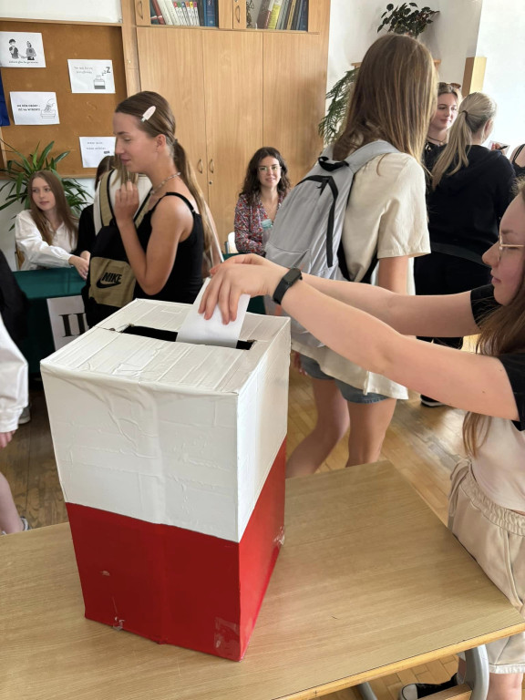 Symulacja wyborów do PE w Collegium Gostomianum