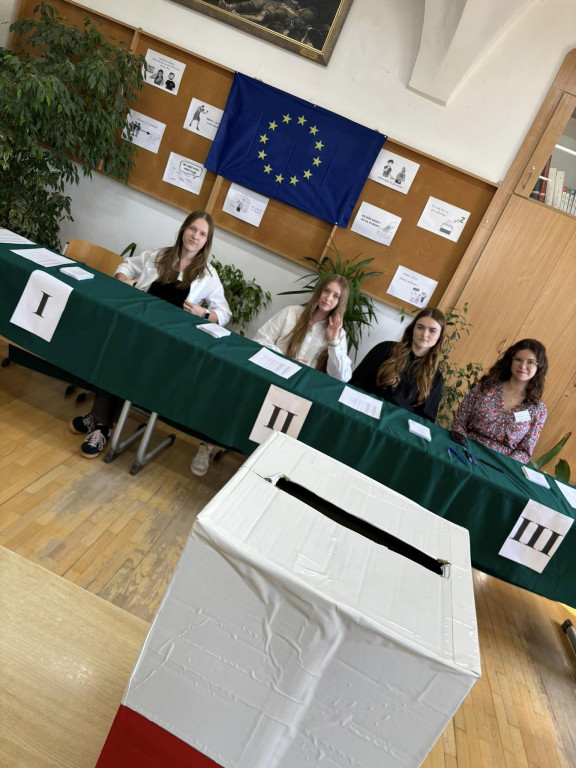Symulacja wyborów do PE w Collegium Gostomianum