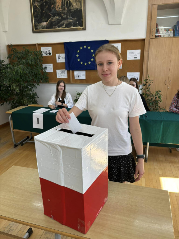 Symulacja wyborów do PE w Collegium Gostomianum