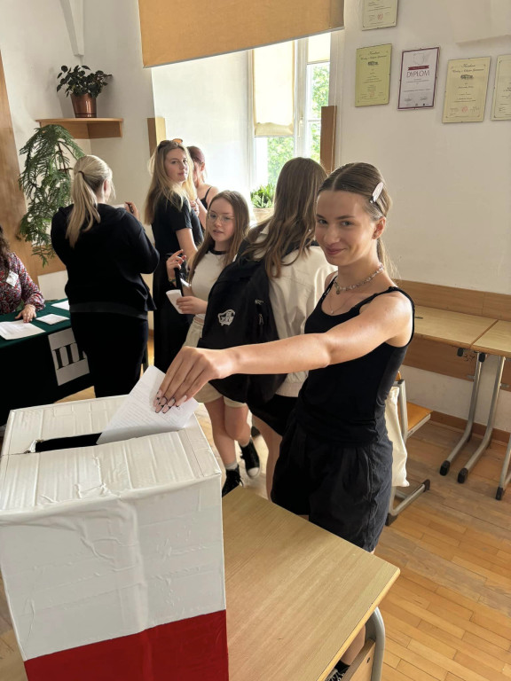 Symulacja wyborów do PE w Collegium Gostomianum