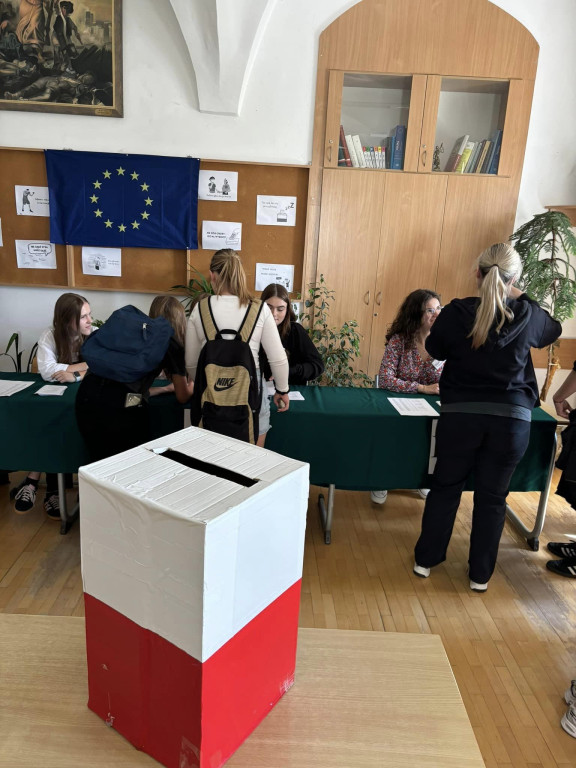 Symulacja wyborów do PE w Collegium Gostomianum