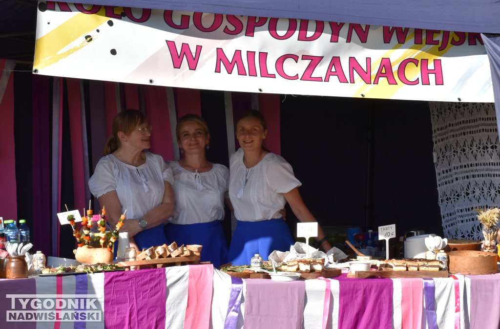 IV Piknik Kwitnącej Winorośli w Złotej