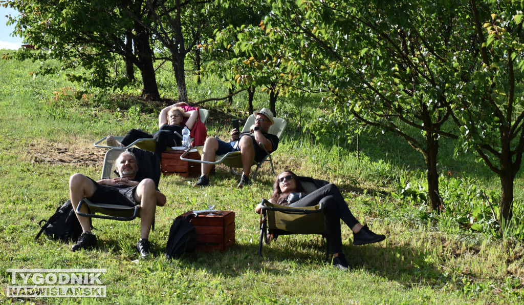 IV Piknik Kwitnącej Winorośli w Złotej