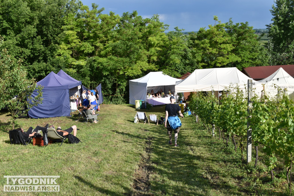 IV Piknik Kwitnącej Winorośli w Złotej