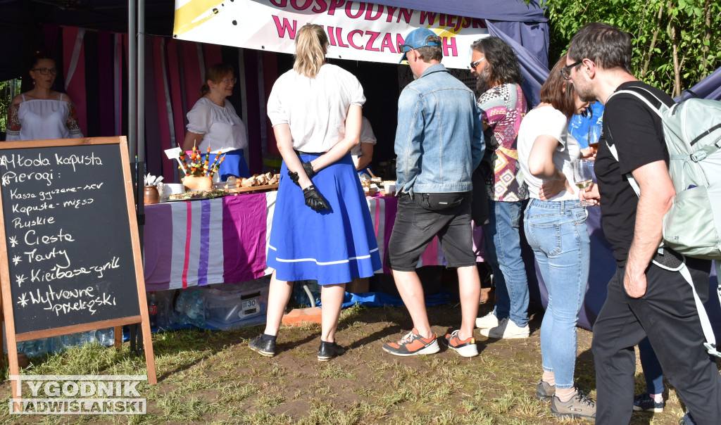 IV Piknik Kwitnącej Winorośli w Złotej