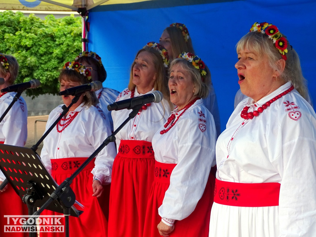 Piknik Rodzinny w Tarnobrzegu