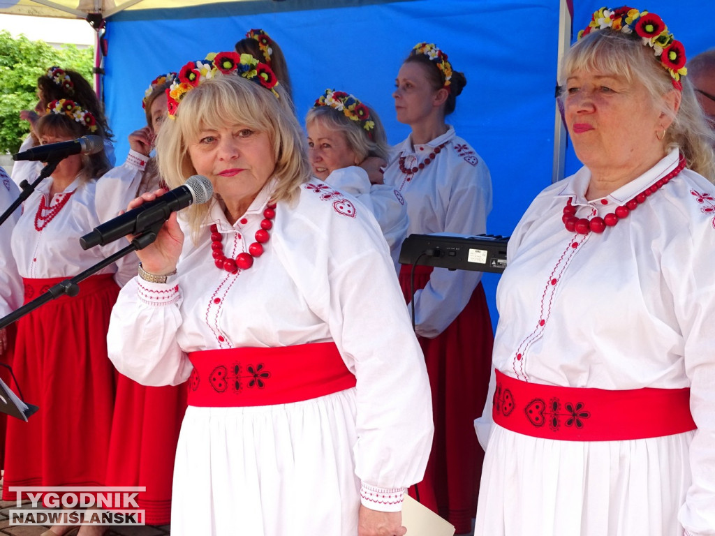 Piknik Rodzinny w Tarnobrzegu