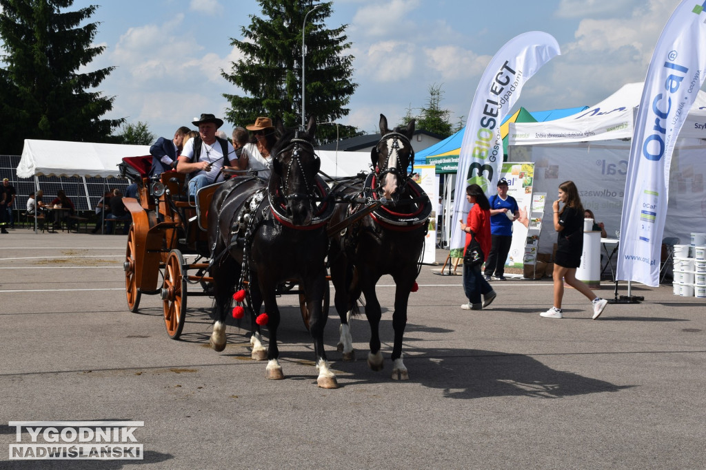 III Piknik Rolniczy w Sichowie Dużym