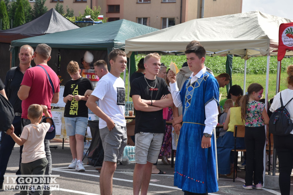 III Piknik Rolniczy w Sichowie Dużym