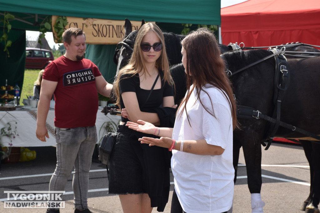 III Piknik Rolniczy w Sichowie Dużym