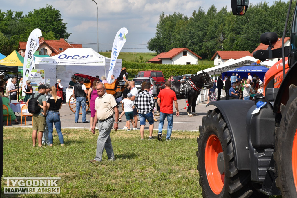 III Piknik Rolniczy w Sichowie Dużym