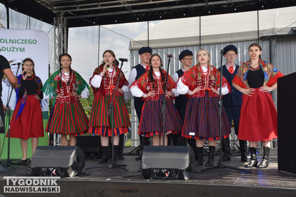 III Piknik Rolniczy w Sichowie Dużym