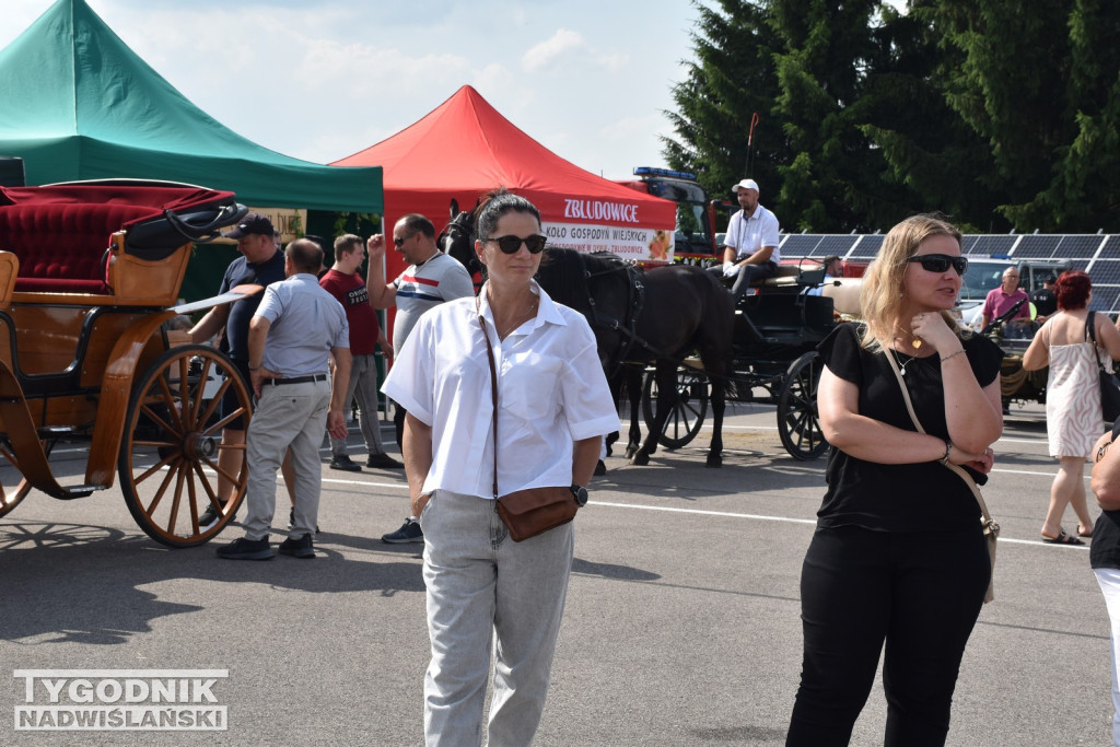 III Piknik Rolniczy w Sichowie Dużym