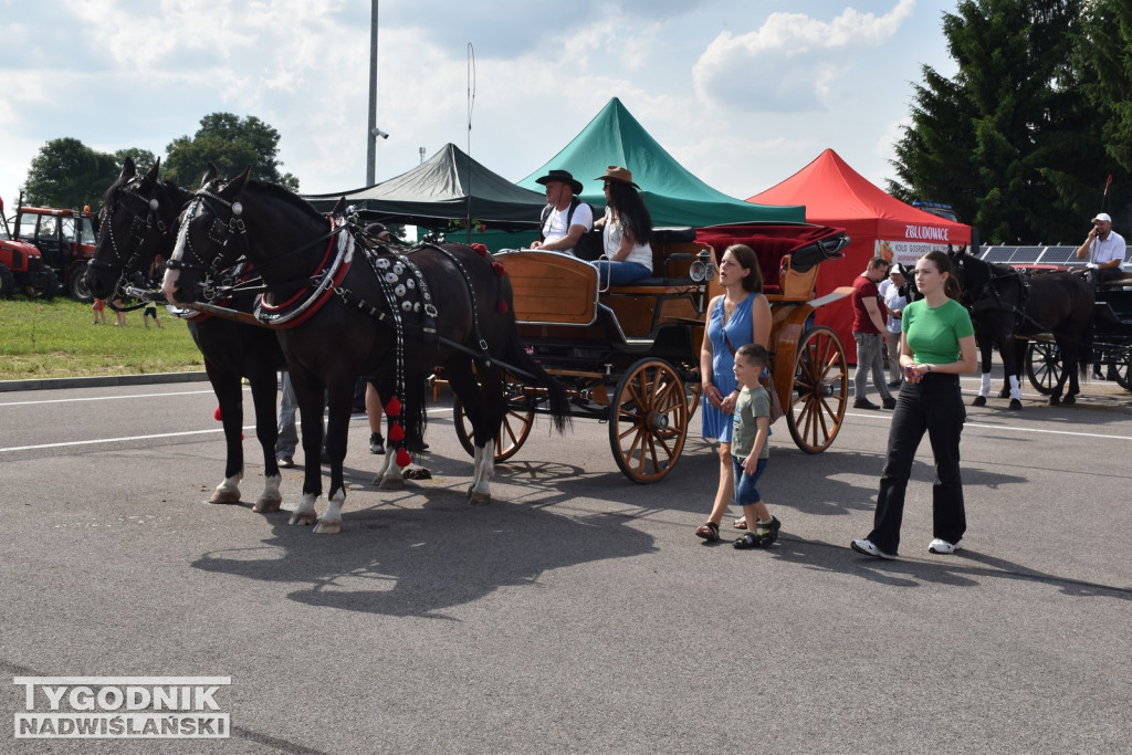 III Piknik Rolniczy w Sichowie Dużym