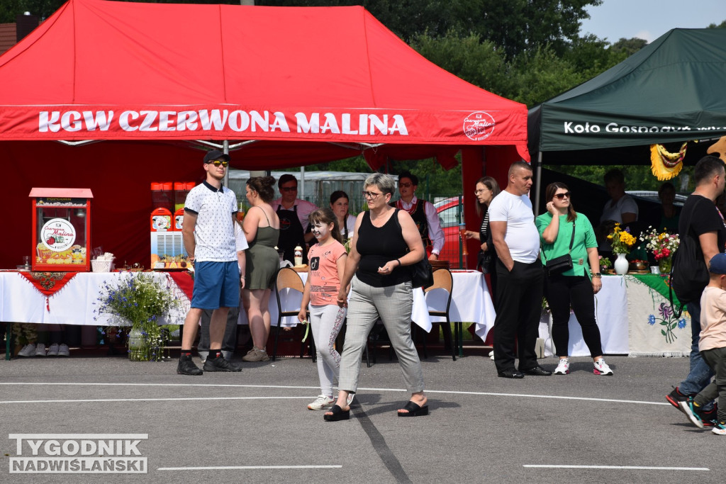 III Piknik Rolniczy w Sichowie Dużym