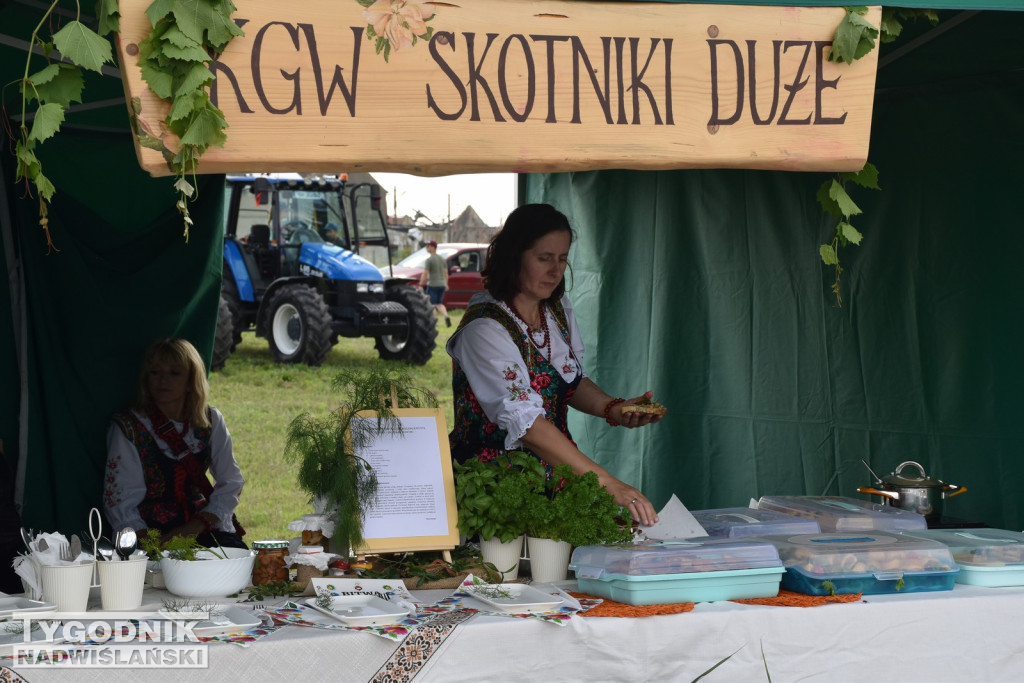 III Piknik Rolniczy w Sichowie Dużym