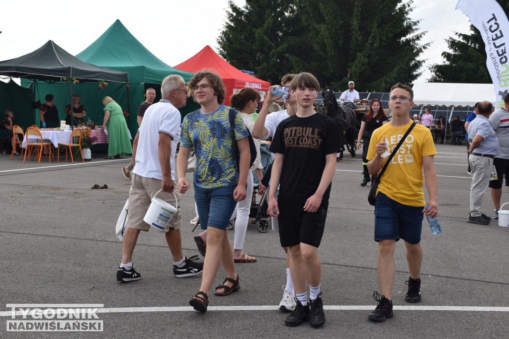 III Piknik Rolniczy w Sichowie Dużym