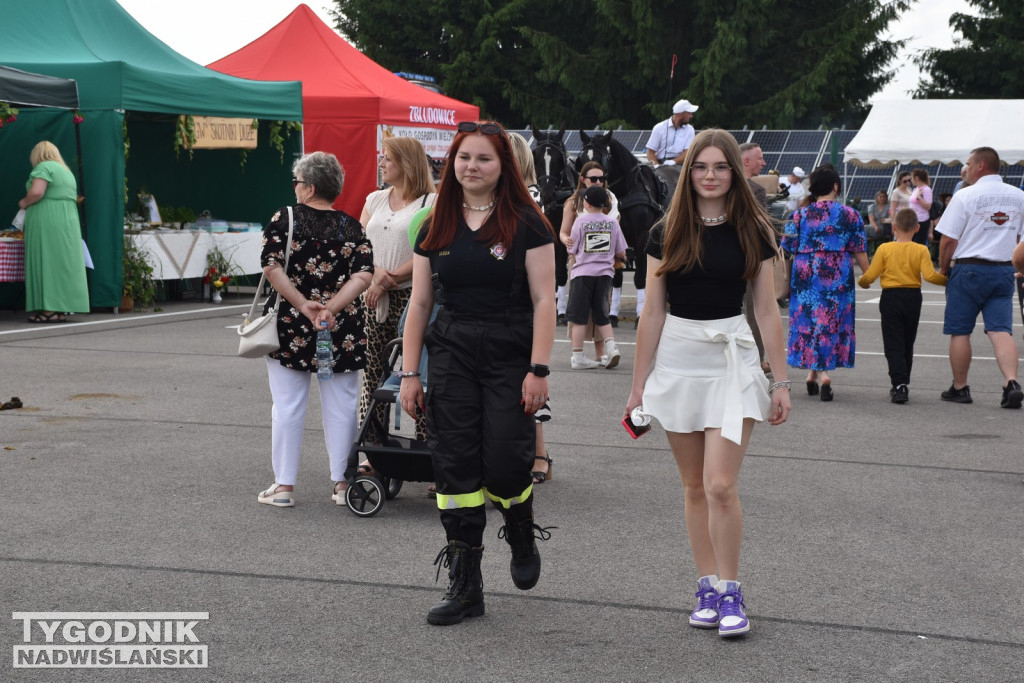 III Piknik Rolniczy w Sichowie Dużym