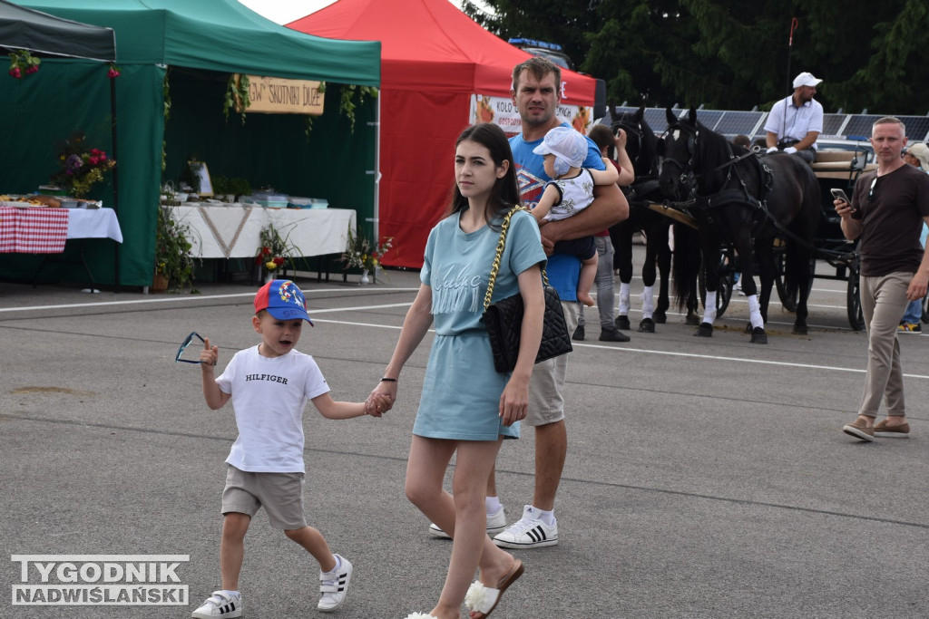 III Piknik Rolniczy w Sichowie Dużym