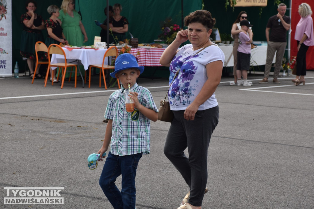 III Piknik Rolniczy w Sichowie Dużym