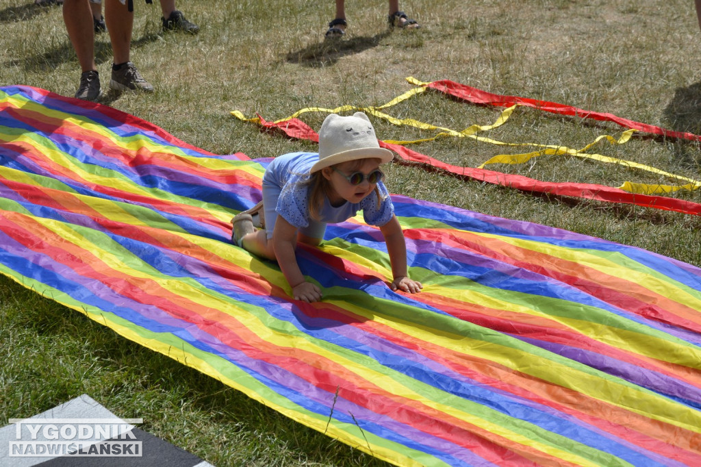 Piknik wakacyjny nad Jeziorem Tarnobrzeskim