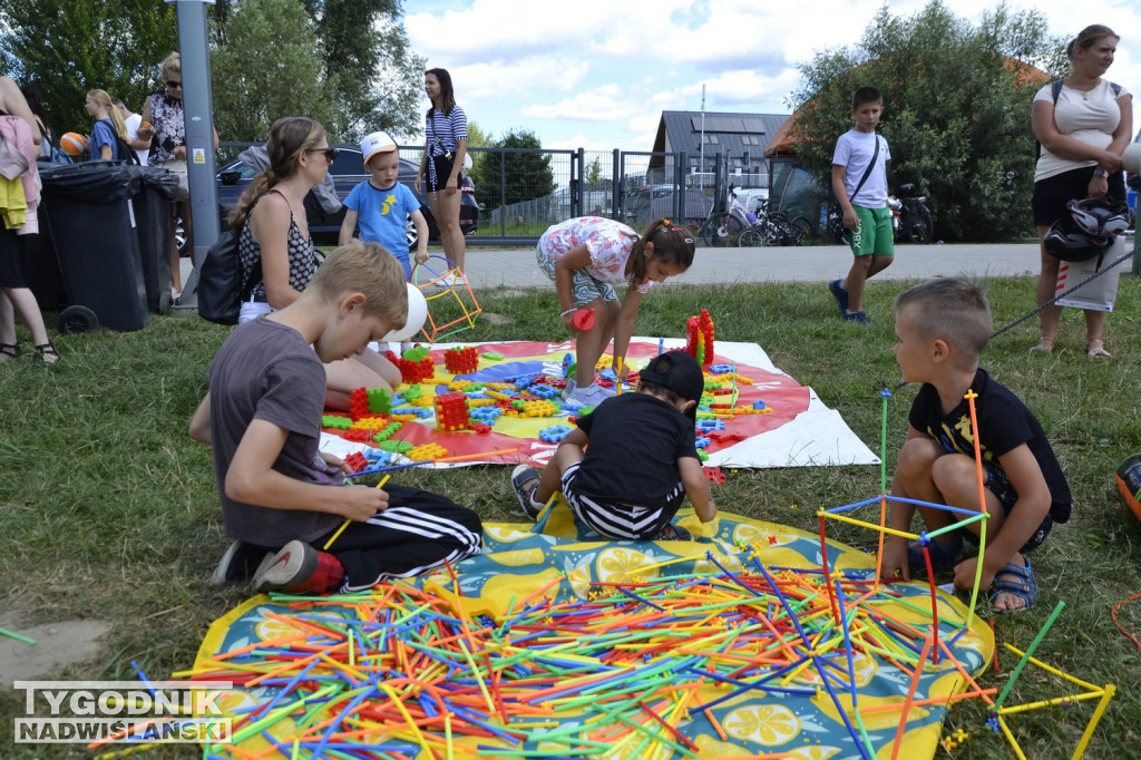 Piknik wakacyjny nad Jeziorem Tarnobrzeskim