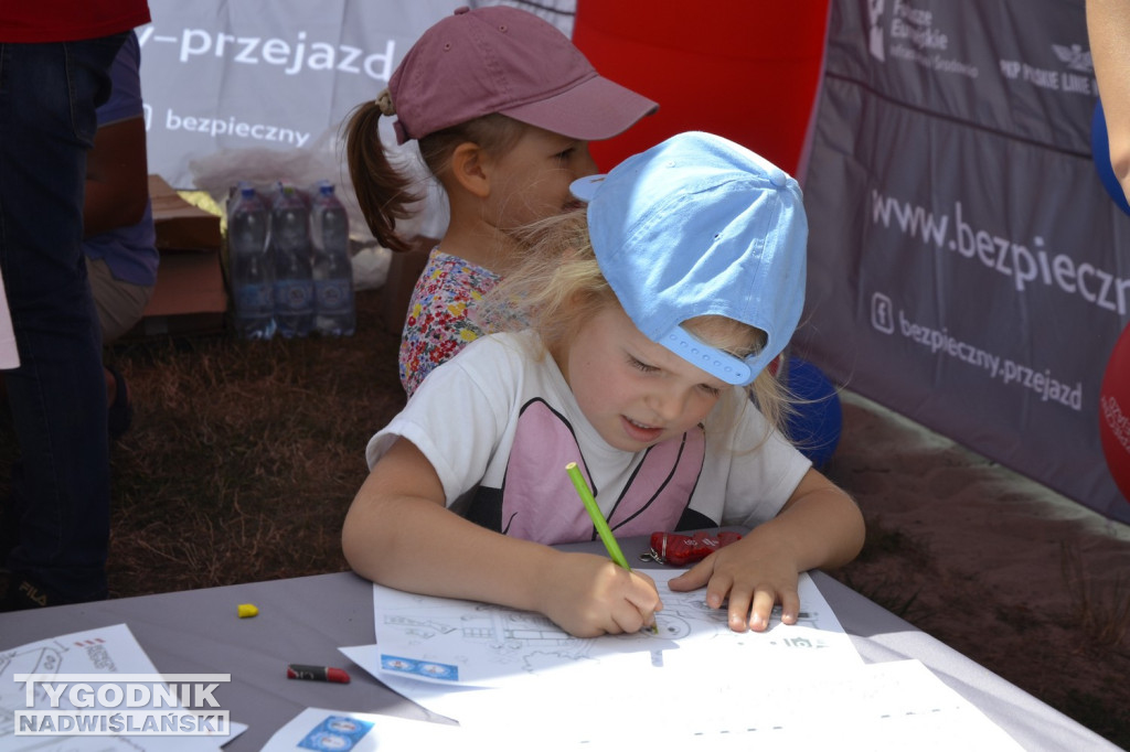 Piknik wakacyjny nad Jeziorem Tarnobrzeskim