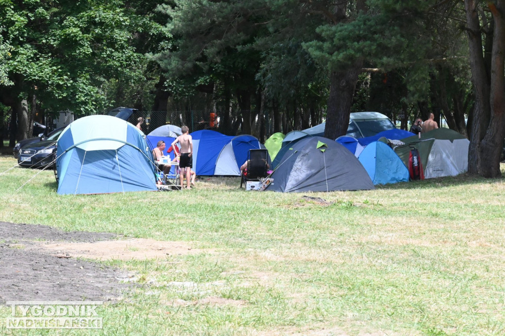 Pole biwakowe nad Jeziorem Tarnobrzeskim