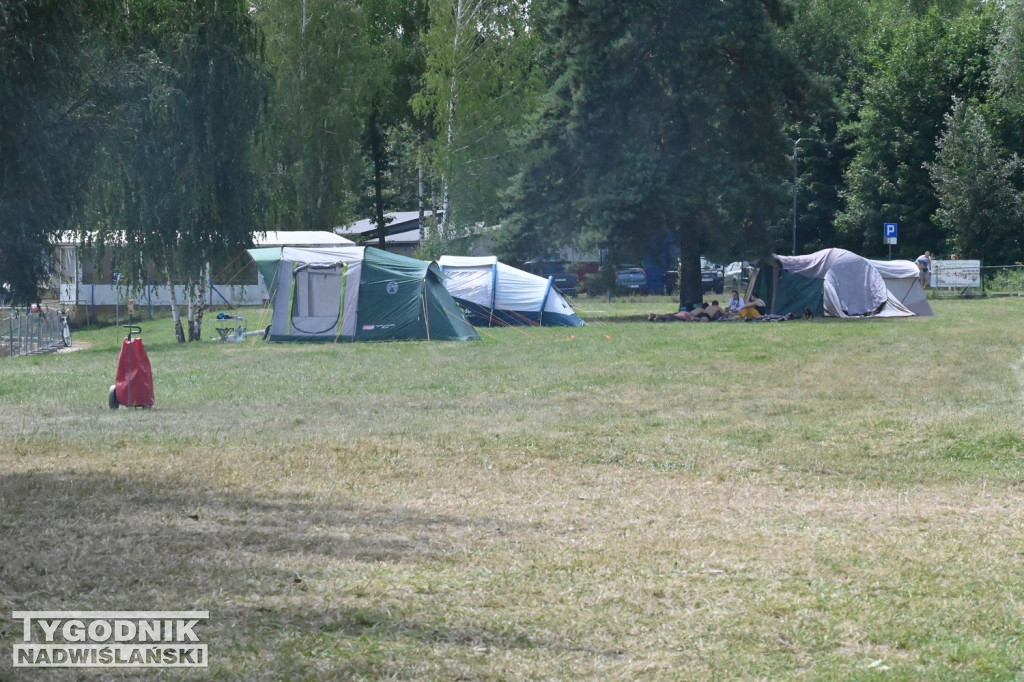 Pole biwakowe nad Jeziorem Tarnobrzeskim