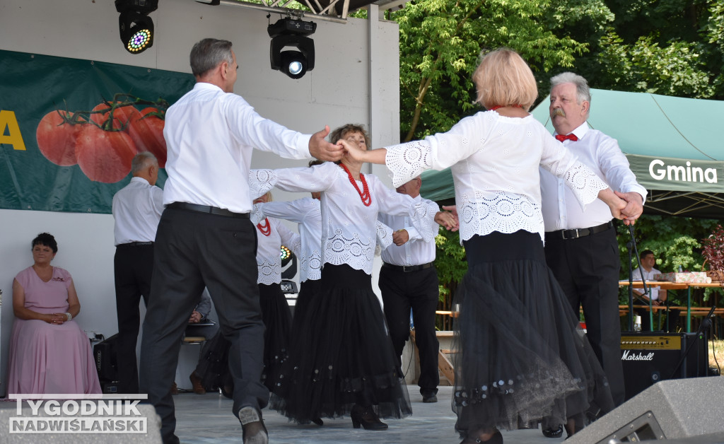 XXVII Wojewódzkie Święto Pomidora w Dwikozach