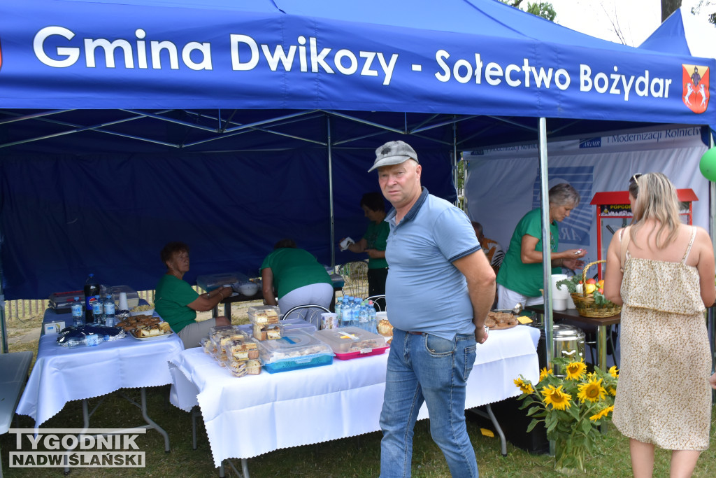 XXVII Wojewódzkie Święto Pomidora w Dwikozach