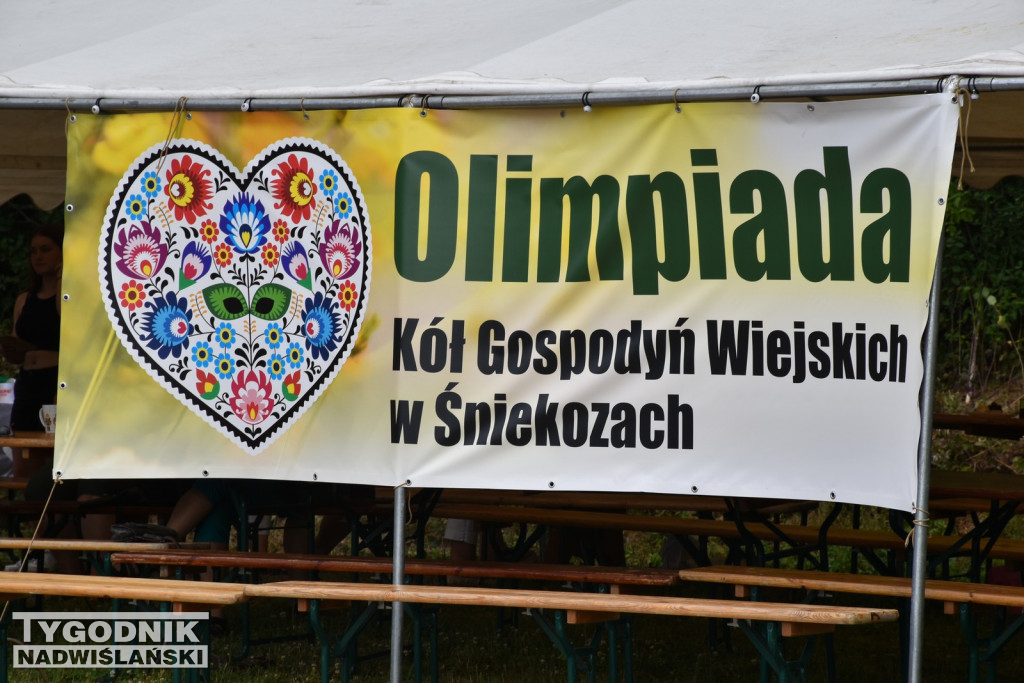 Olimpiada KGW w Śniekozach