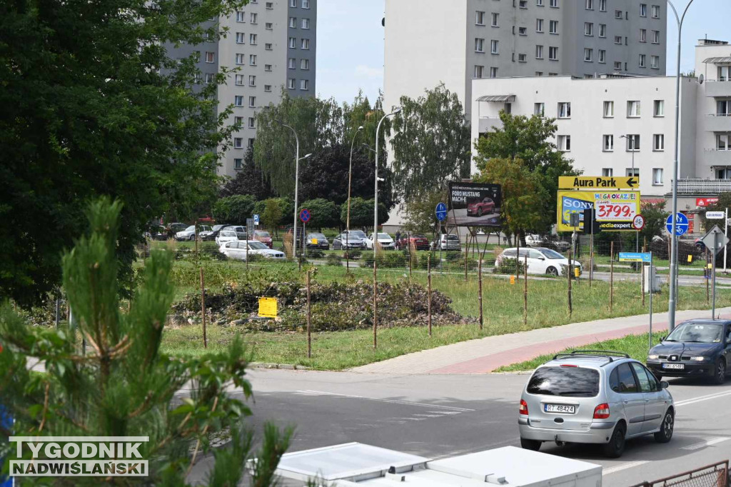 Wycinka drzew pod budowę KFC w Tarnobrzegu