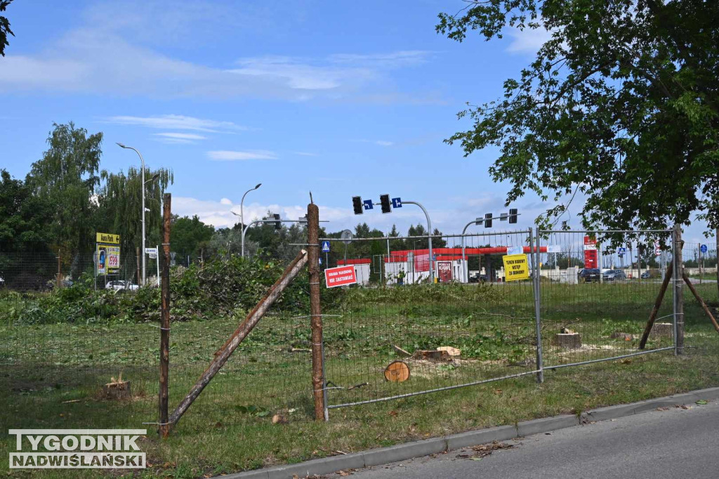 Wycinka drzew pod budowę KFC w Tarnobrzegu