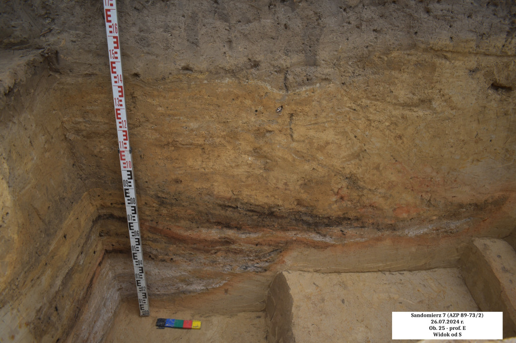 Odkrycia archeologiczne w Sandomierzu