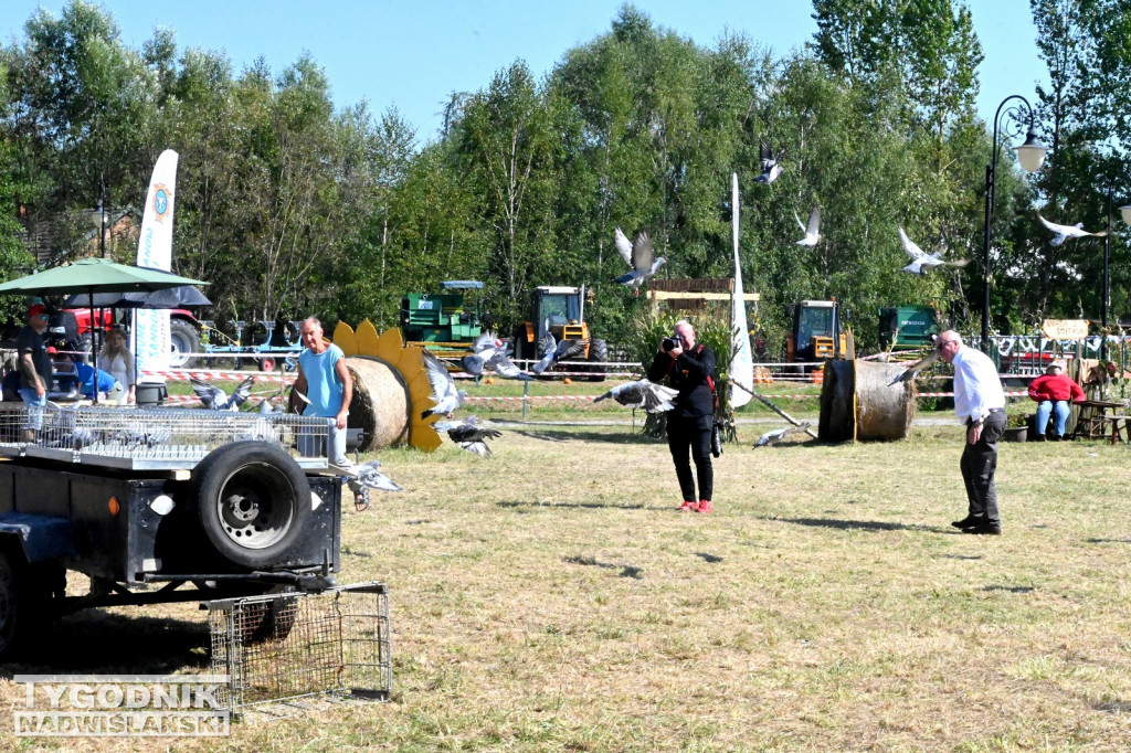 Dożynki gminy Baranów Sandomierski w Suchorzowie