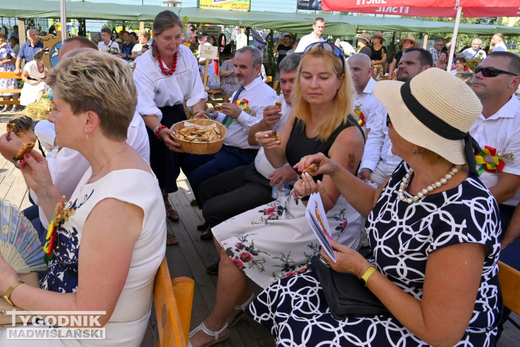 Dożynki gminy Baranów Sandomierski w Suchorzowie