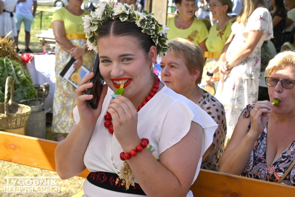 Dożynki gminy Baranów Sandomierski w Suchorzowie