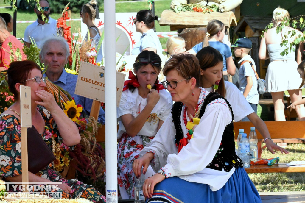 Dożynki gminy Baranów Sandomierski w Suchorzowie