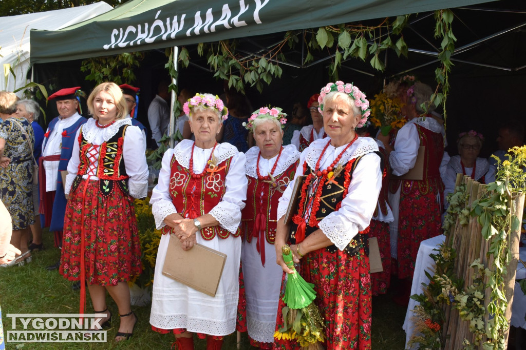 Dożynki powiatu staszowskiego w Rytwianach